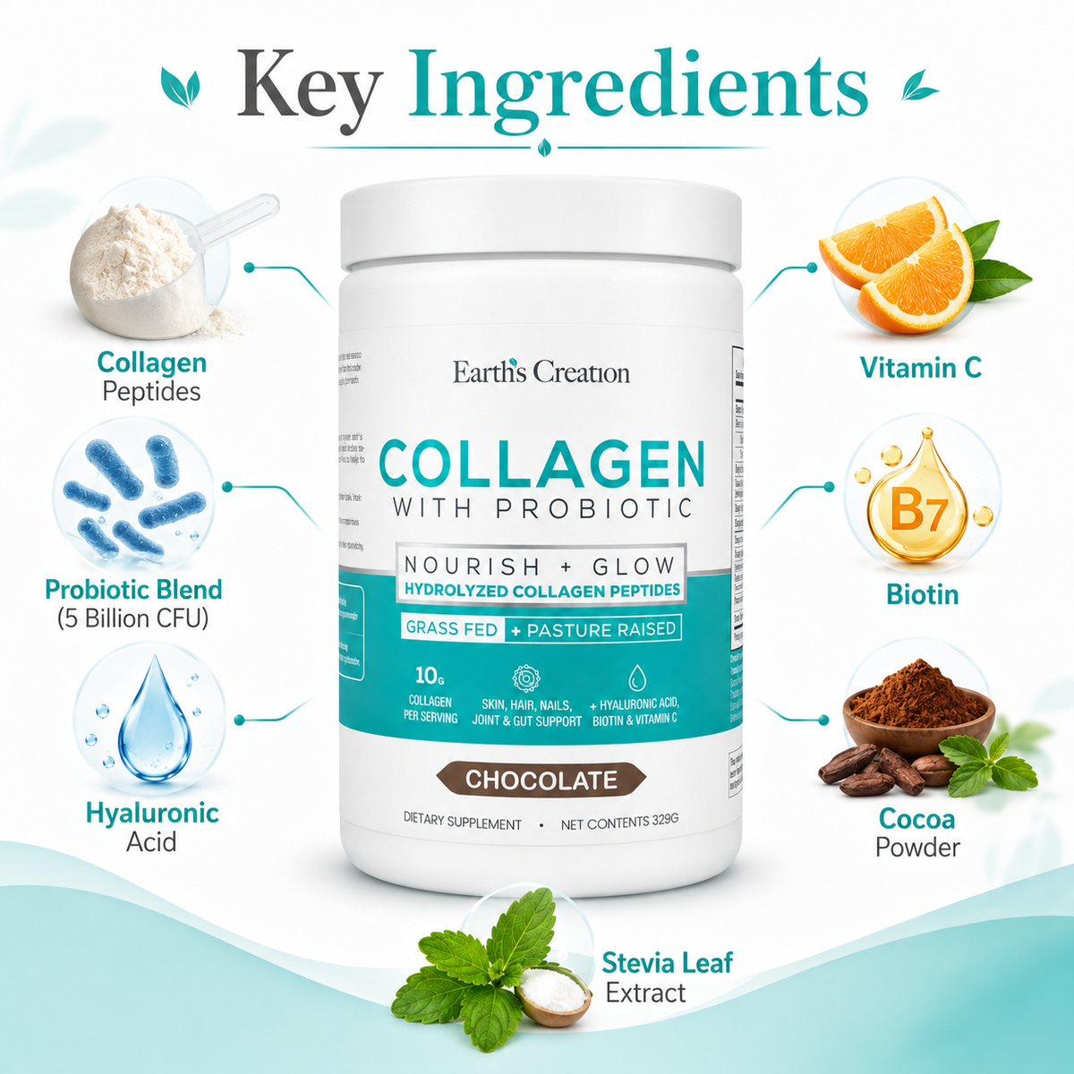 Earth’s Creation Collagen with Probiotic – Chocolate, 329 g